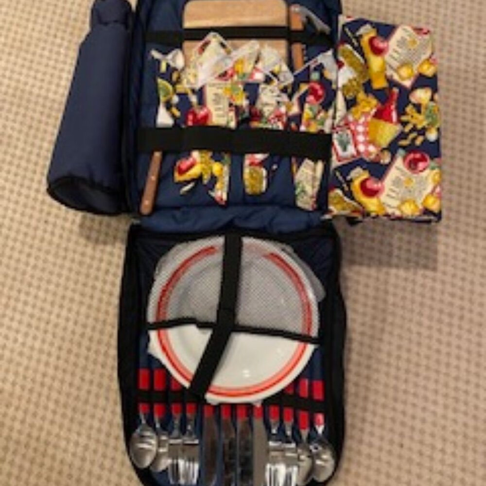 Picnic Backback for 4